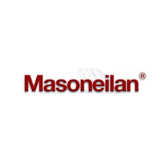  Masoneilan 400119189-193B0000 